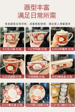 Japanese-Style Rabbit Ceramic Rice Bowl Set - 4.5-Inch Underglaze Ramen Hat Tableware for New Year Gift
