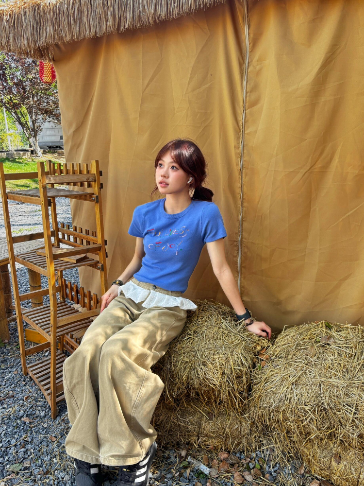 Korean Style Knitted Short Sleeve Slim Fit T-Shirt with Letter Embroidery - Blue Cropped College Style for Summer Korean Style Knitted Short Sleeve Slim Fit T-Shirt with Letter Embroidery - Blue Cropped College Style for Summer