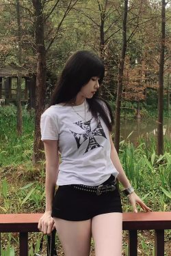 Korean Style Short Sleeve Slim-Fit Top with Crusader Print - Bamboo Cotton, Slightly Sheer, Trendy Y2K Aesthetic for Stylish Girls
