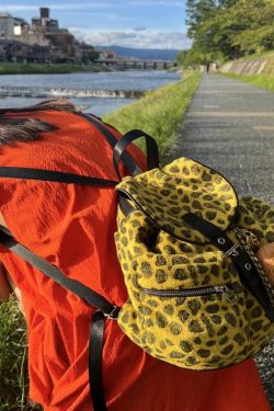 Korean Style Wool Leopard Print Double Shoulder Women's Backpack, Versatile Large Capacity Commuter Bag for Students