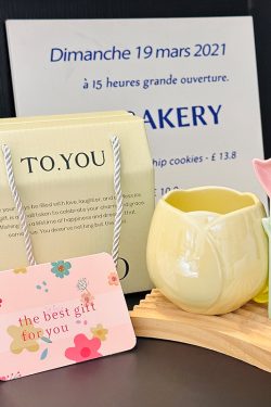 Light Luxury Tulip Ceramic Drinking Cup - Elegant Gift for Girls, Perfect Birthday Mug for Best Friends