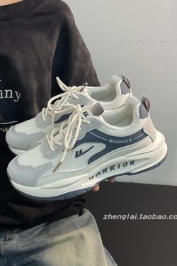 Men's Breathable Mesh Summer Shoes - Thick-Soled Casual Dad Sneakers - Soft-Bottom Versatile Sports Footwear