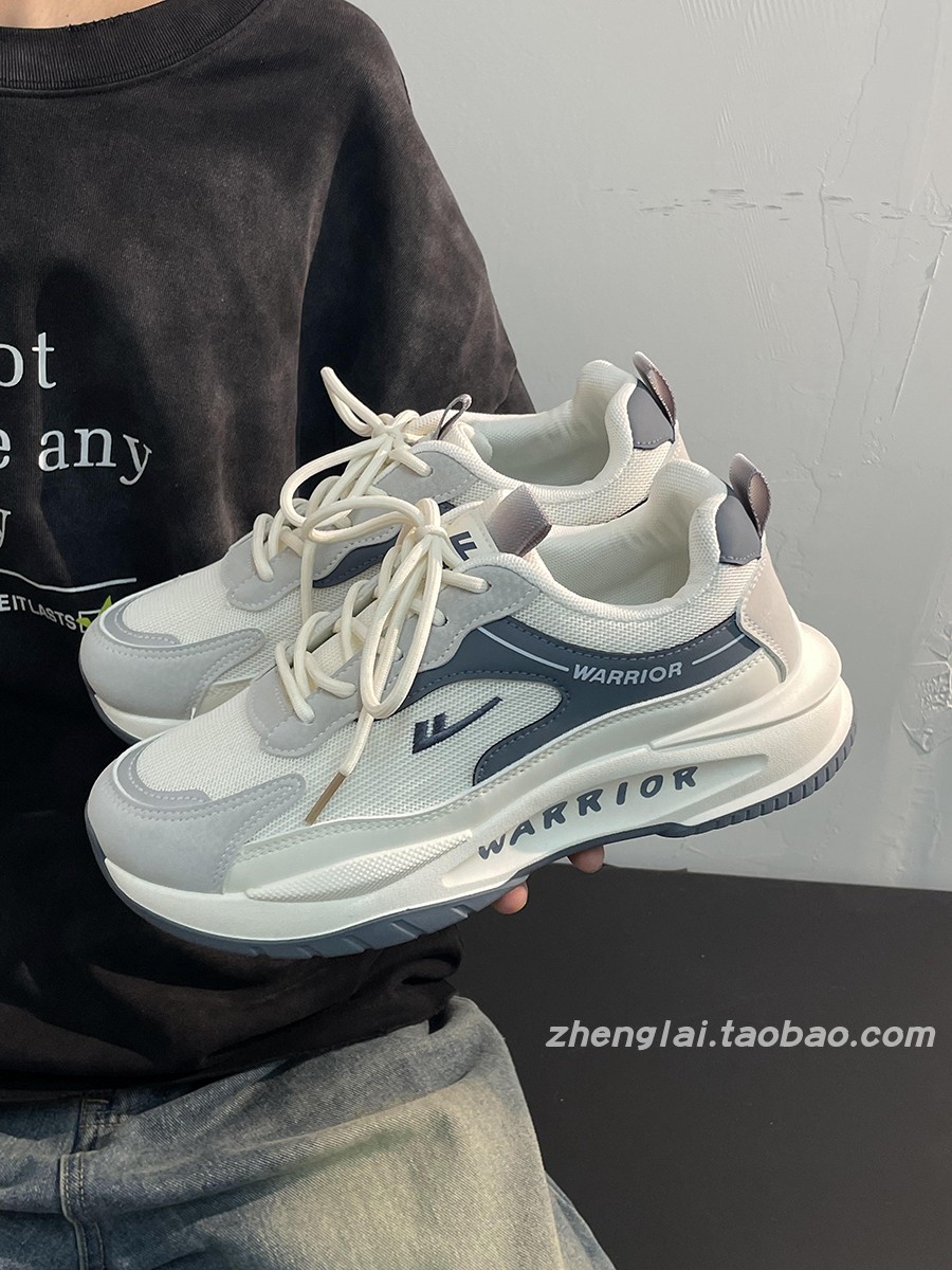 Men's Breathable Mesh Summer Shoes - Thick-Soled Casual Dad Sneakers - Soft-Bottom Versatile Sports Footwear Men's Breathable Mesh Summer Shoes - Thick-Soled Casual Dad Sneakers - Soft-Bottom Versatile Sports Footwear