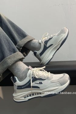 Men's Breathable Mesh Summer Shoes - Thick-Soled Casual Dad Sneakers - Soft-Bottom Versatile Sports Footwear