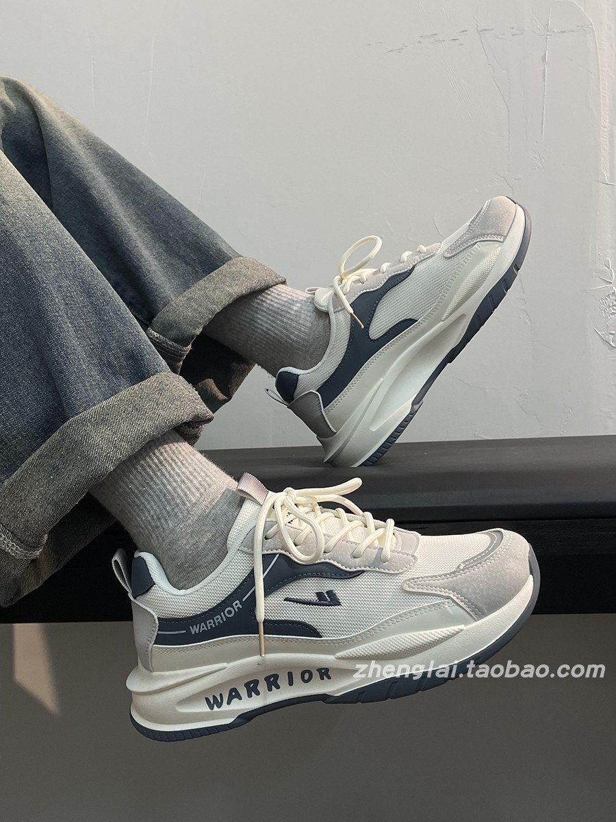 Men's Breathable Mesh Summer Shoes - Thick-Soled Casual Dad Sneakers - Soft-Bottom Versatile Sports Footwear Men's Breathable Mesh Summer Shoes - Thick-Soled Casual Dad Sneakers - Soft-Bottom Versatile Sports Footwear