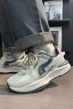 Men's Summer Mesh Dad Shoes - Versatile Soft Sole Breathable American Retro Sports Casual Footwear