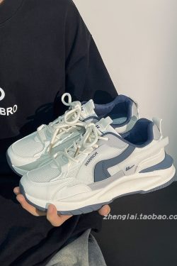 Men's Summer Mesh Dad Shoes - Versatile Soft Sole Breathable American Retro Sports Casual Footwear