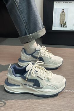 Men's Summer Mesh Dad Shoes - Versatile Soft Sole Breathable American Retro Sports Casual Footwear