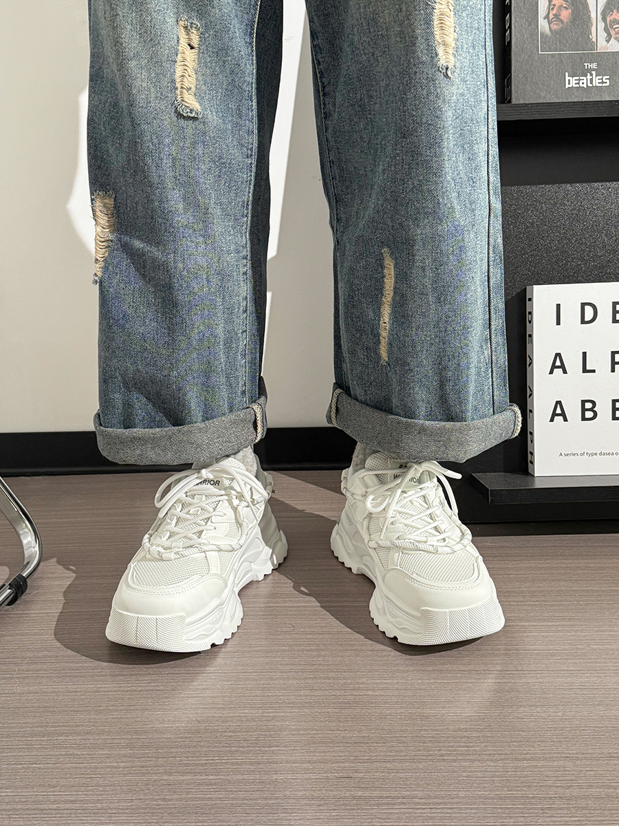 Men's Thick Sole Sports Casual Sneakers - 2025 Original Design White Mesh Breathable Dad Shoes for 90s Y2K Style Men's Thick Sole Sports Casual Sneakers - 2025 Original Design White Mesh Breathable Dad Shoes for 90s Y2K Style