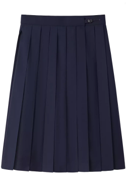 Navy Blue and Gray Pleated JK Skirt for Women - Solid Color Short Skirt, Perfect for Spring and Summer Fashion