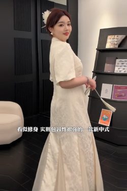 Plus-Size Chinese Style Summer Qipao Dress, Retro Mesh Splicing Skirt, Slimming National Wind Design for Plump Figures
