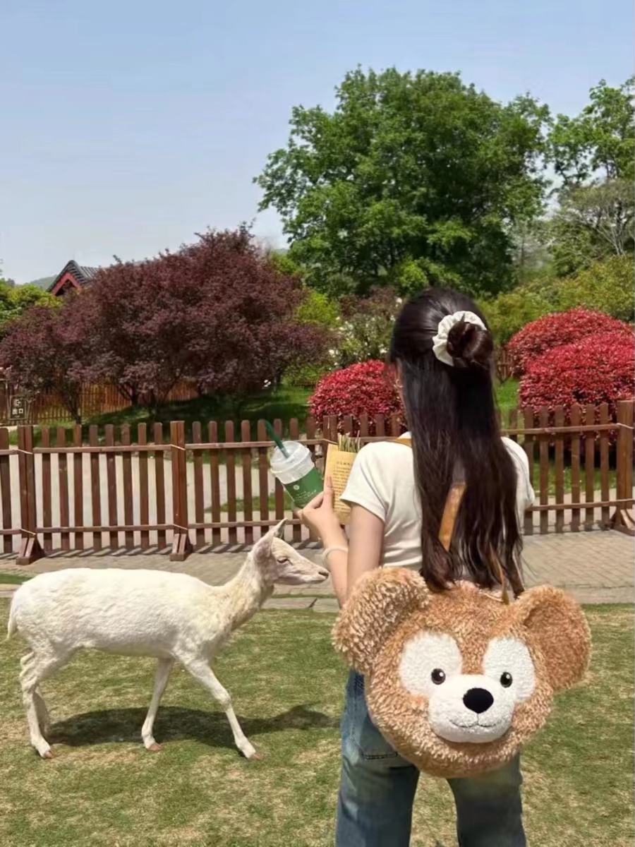 Plush Duffy Bear Big Face Bag - Versatile Cartoon Teddy Bear Doll Double Shoulder Handbag in Snow Pear Rose - Y2K Style Plush Duffy Bear Big Face Bag - Versatile Cartoon Teddy Bear Doll Double Shoulder Handbag in Snow Pear Rose - Y2K Style