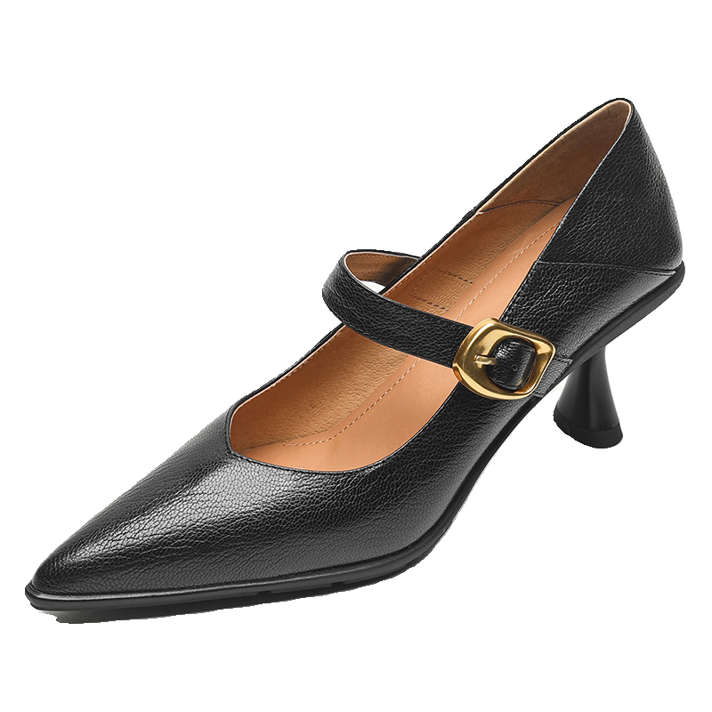 Pointed Toe Shallow Mouth High Heels - Vintage One-Strap Low-Heeled Sheepskin Shoes for Elegant Style Pointed Toe Shallow Mouth High Heels - Vintage One-Strap Low-Heeled Sheepskin Shoes for Elegant Style