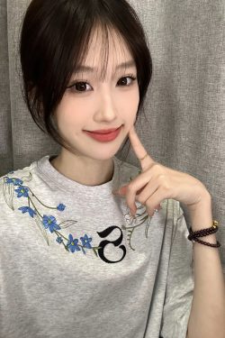 Retro Embroidered Floral Gray Short Sleeve T-Shirt for Women - Summer 2025 High-End Design, Trendy Y2K Style