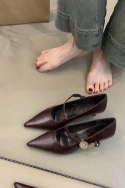 Sheepskin Pointed Toe High-Heeled Shoes with Metal Buckle - French Style Low-Heeled Commuter Shoes for Women