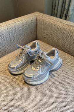 Silver Dad Shoes for Women - 2025 Spring Thick-Soled Height-Increasing Mesh Casual Sneakers, Trendy Y2K Athleisure Footwear