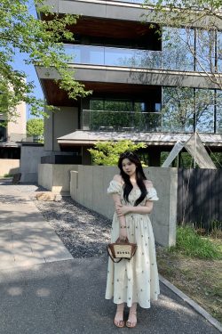 Slightly Chubby Off-Shoulder Plus Size Dress with Moonlight Dream Catcher & French Bow Embroidery, Waist-Defined, Y2K Style