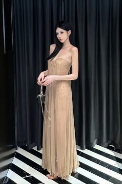 Summer Dazzling Strapless Mesh Dress for Women - Sexy Backless High-End Long Dress in 90s Style
