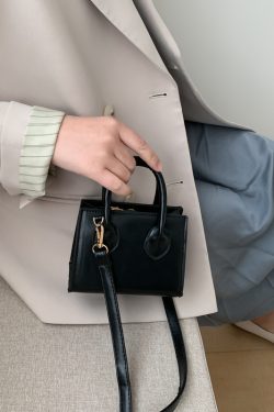 Trendy Mini Shoulder Crossbody Bag for Women - Spring Summer 2025 Fashion, High-End Small Handbag for Everyday Use