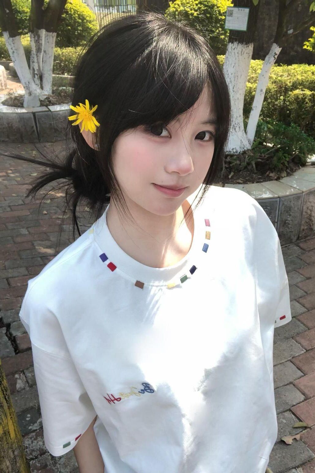 Trendy White Short Sleeve T-Shirt for Women with Embroidery - Summer 2025 American Style Niche Design