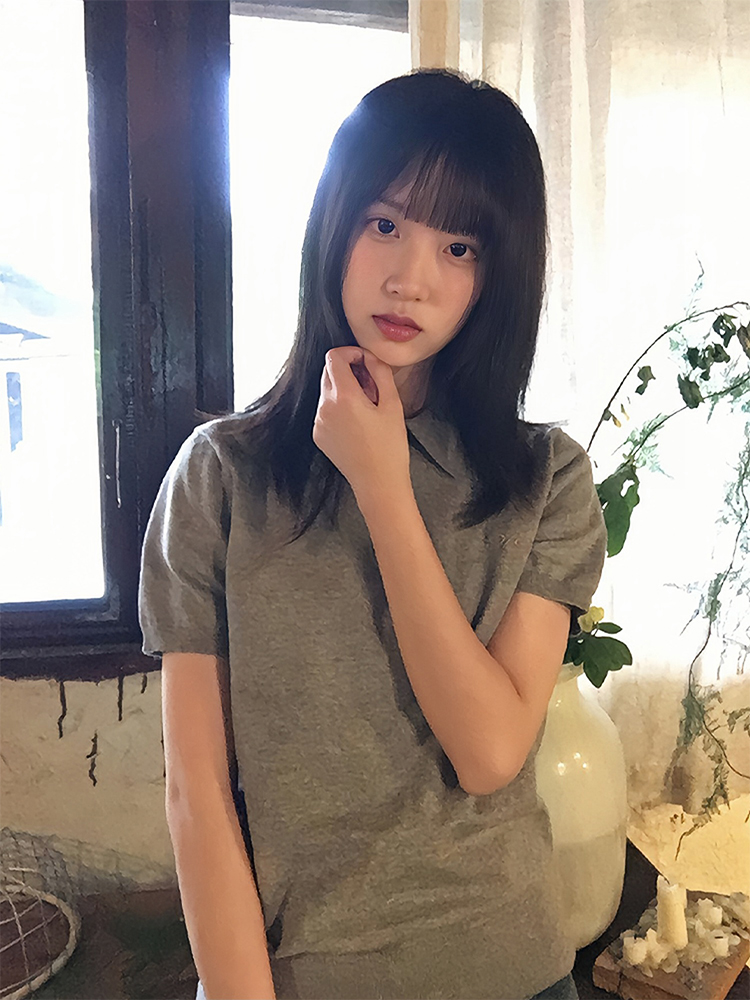 Vintage-Inspired Knitted Short Sleeve Polo Shirt for Women - Versatile Gray Summer Top, Slim Fit, Flattering Design Vintage-Inspired Knitted Short Sleeve Polo Shirt for Women - Versatile Gray Summer Top, Slim Fit, Flattering Design