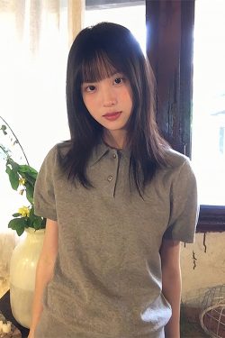 Vintage-Inspired Knitted Short Sleeve Polo Shirt for Women - Versatile Gray Summer Top, Slim Fit, Flattering Design