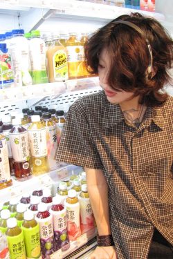 Vintage-Inspired Women’s Short Sleeve Shirt, Summer Pleated Checkered Pattern, Intellectual Style, Waist-Cinching Trendy Top