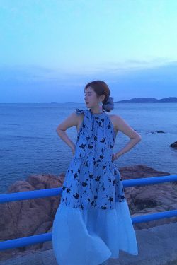 Vintage Rose Sea Wave French Print Sheer Halter Dress - Women's Summer Loose Retro Maxi Dress for Boho Style