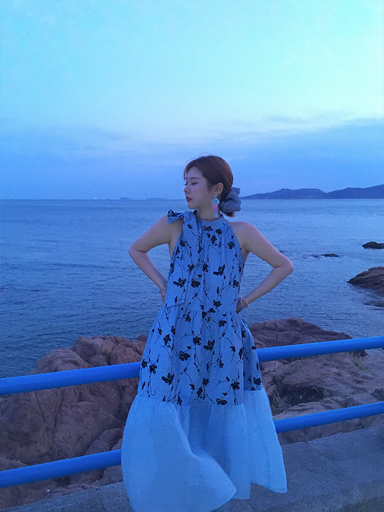 Vintage Rose Sea Wave French Print Sheer Halter Dress - Women's Summer Loose Retro Maxi Dress for Boho Style Vintage Rose Sea Wave French Print Sheer Halter Dress - Women's Summer Loose Retro Maxi Dress for Boho Style