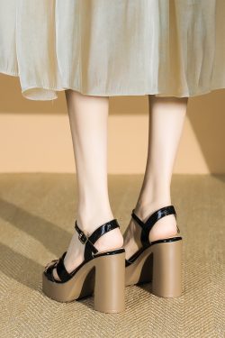Women's Chunky-Heeled Patent Leather One-Strap Sandals - Summer Thick-Soled Platform Shoes for Comfort and Style 2025