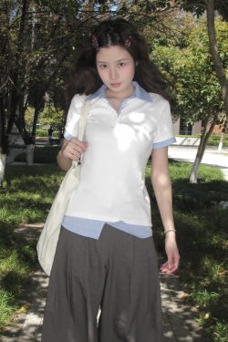 Women's Summer Plaid V-Neck Polo Shirt Two-Piece Outfit - Short Sleeve, Slim Fit College Style Top