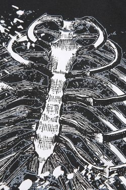 Style Core Aesthetics, New Style Trends - Black Skeleton Crop Top