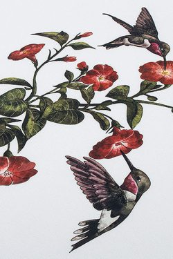 Style Core Aesthetics, New Style Trends - Hummingbird Vintage Sweatshirt