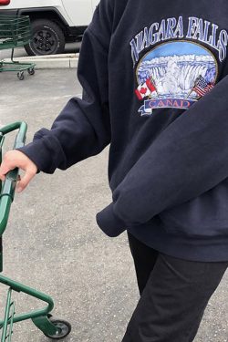 Style Core Aesthetics, New Style Trends - Niagara Falls Embroidery Sweatshirt