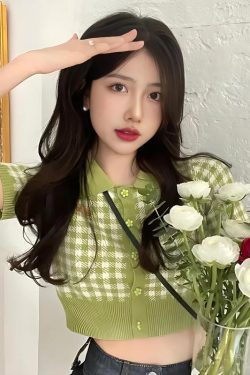 Style Core Aesthetics, New Style Trends - Soft Girl Plaid Crop Cardigan