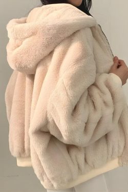 Style Core Aesthetics, New Style Trends - Teddy Reversible Hooded Jacket