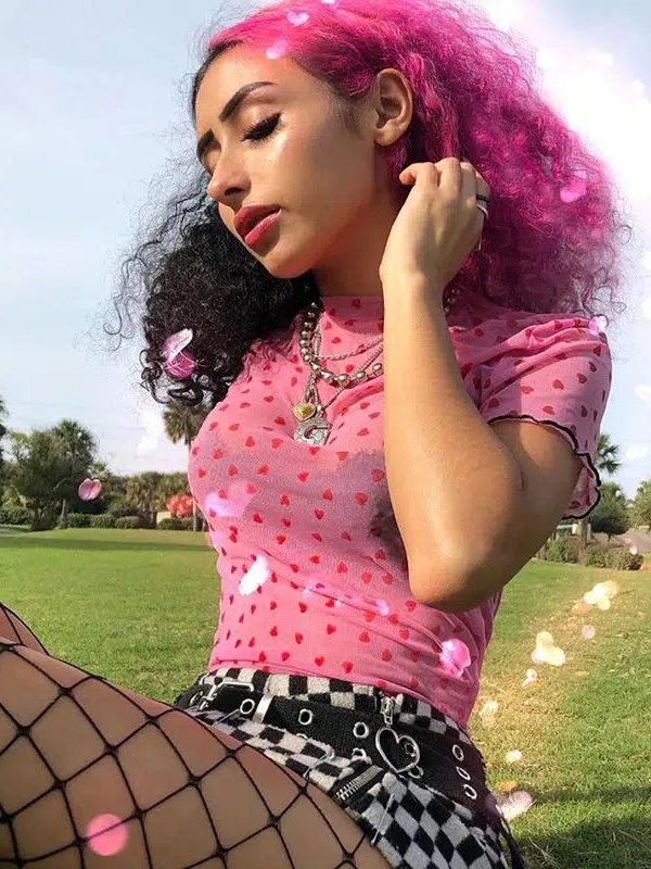Baddie Heart Mesh Crop Top