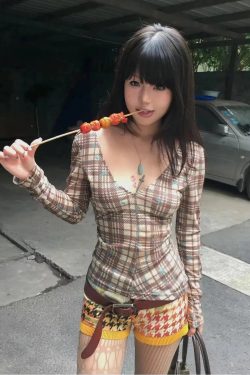 Deep V Neck Plaid Top