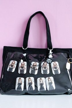 Diy Tote Ita Bag Window Bag