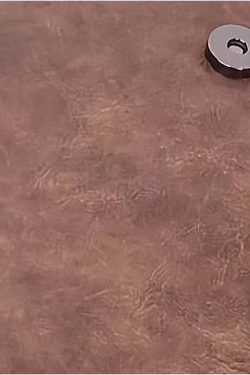 Fashion Brown Embossing Tasseled Faux Leather Messenger Bag