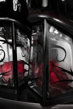 Goth Rose Mary Jane High Heels