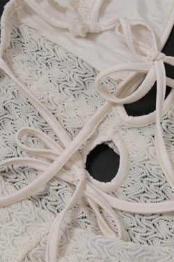 Lace Backless Plunge Neck Maxi Dress