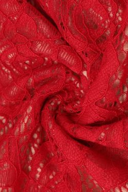 Lace Bodycon Maxi Dress