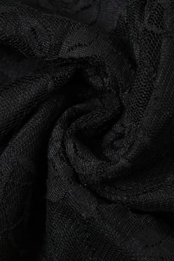 Lace Sheer Mini Dress