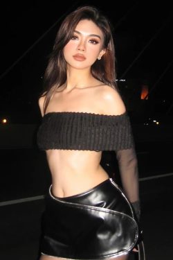 Mesh Sleeve Off Shoulder Crop Top