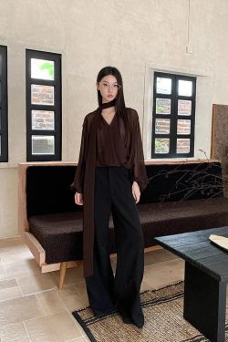 Neck Tie Sheer Mesh Blouse