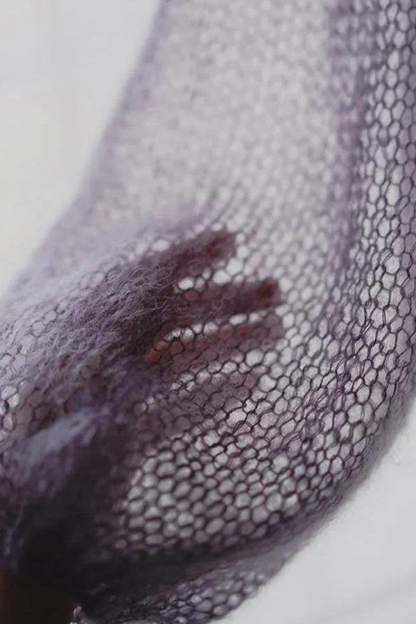 Puff Sleeved Mesh Knit Sweater