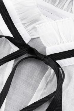 Ruffled Sheer Blouse