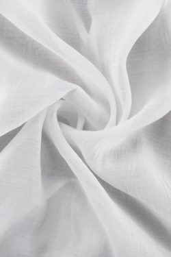 Ruffled Sheer Blouse