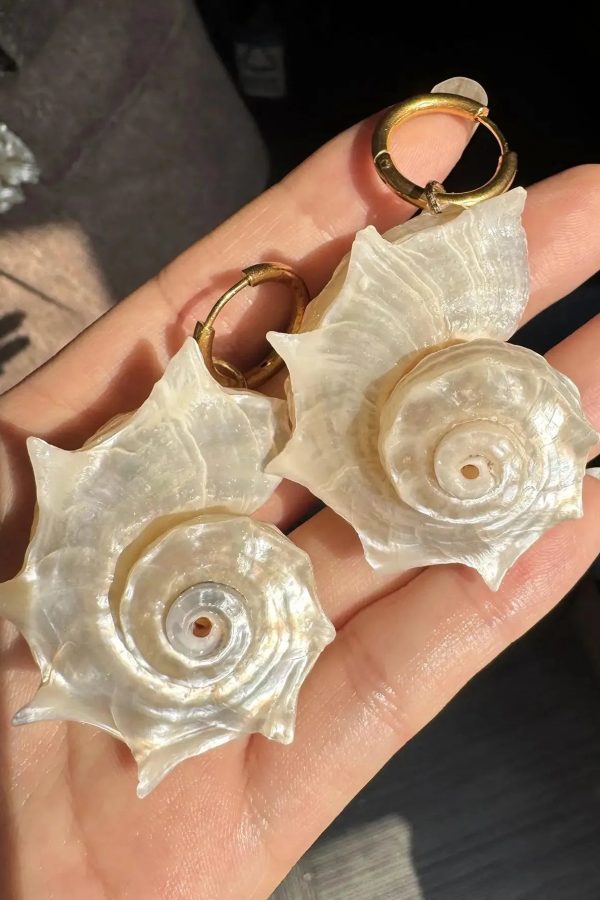 Seashell Earrings